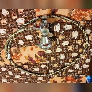 Aquadyne Chrome and Gold Shower Head with Hose